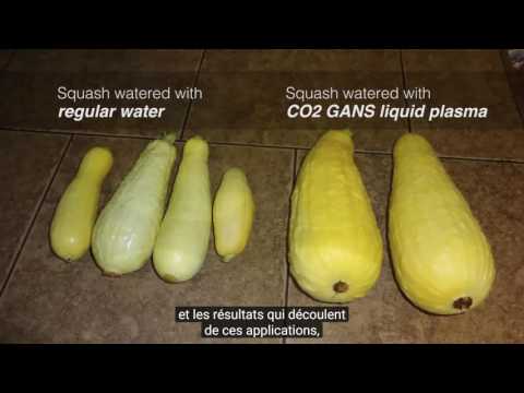 2016 12 08 PM Public Teaching in French - Enseignements publics en français