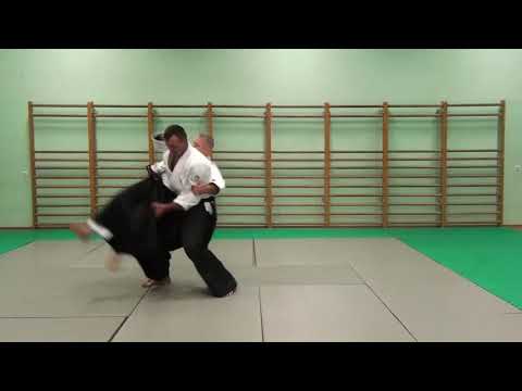 Shomen Uchi Aiki Otoshi - Wojciech Głogowski 4 dan Aikido