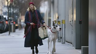 L'Amico Fedele | Trailer Ufficiale