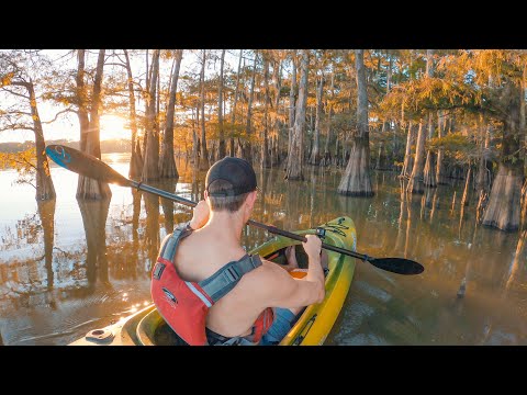RAW Scenic Kayaking - Sunset in a Swamp