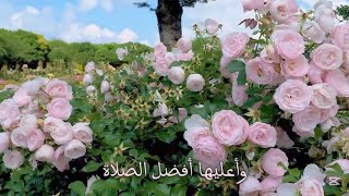 حورية انسيه وعليها افضل الصلاة