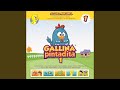 Pollito Amarillito