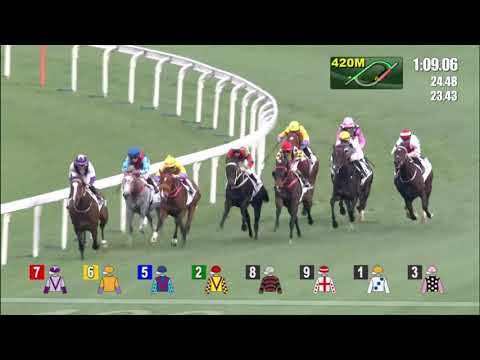 Golden Sixty 8th Win (First leg of 4-year-old Triple Crown)