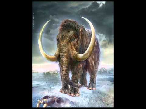 MAMUti-Željina himna