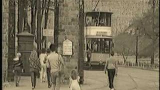 The Temperance Seven - You're Driving Me Crazy