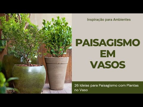 , title : 'PAISAGISMO EM VASOS | 26 IDEIAS PARA PAISAGISMO COM PLANTAS NO VASO'
