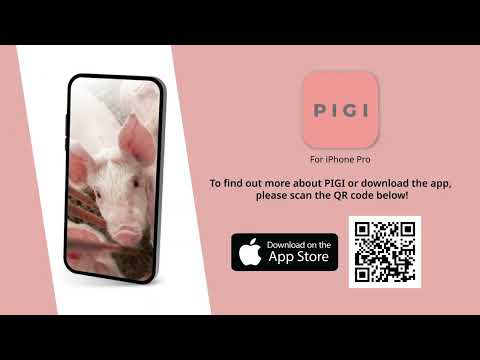 PIGI「How would you go about weighing a PIGI?」｜The Pig-Weighing AI Camera for Pig Farmers