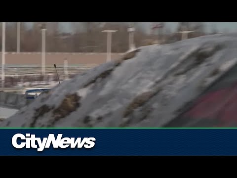 Calgary's rallycross events to push economic pedal to the metal