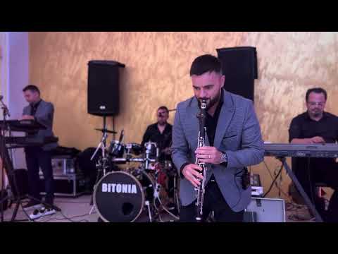 BITONIA  - INSTRUMENTAL 2024