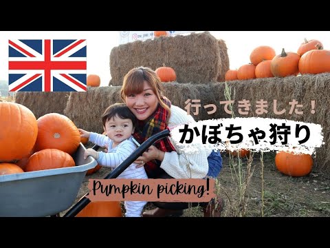 , title : '【イギリス生活】人生初かぼちゃ狩りに行ってきましたー！ Our First Pumpkin Picking!! パンプキン | 海外子育て | 国際結婚 | イギリス生活 | ハロウィーン'