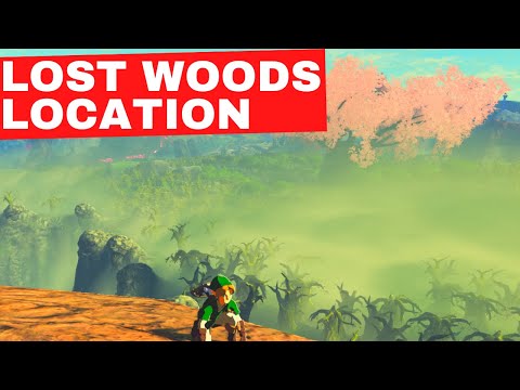 How To Get To The Lost Woods (Korok Forest Location) - Zelda BOTW