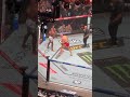Jiří Procházka Vs Khalil Rountree Jr FULL FIGHT UFC 320 Last Round KO