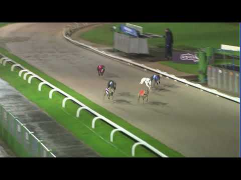 2020 BGBF STAKES - HEAT 3 - T5 SIGNET HAWK