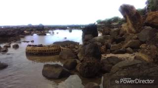 Download lagu Ranca buaya hits mp3