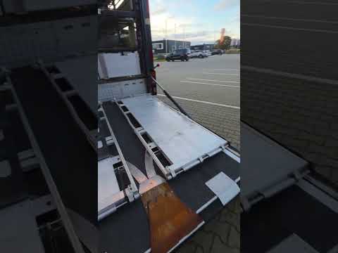 Berdex video miniatur