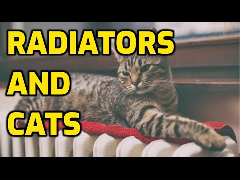 YouTube video about: Are radiator cat beds safe?