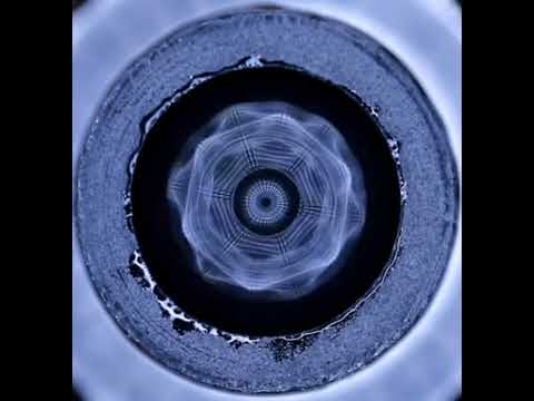 Nervous System Reset