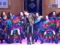 Salman Khan Performance At IIFA 2006 Flv