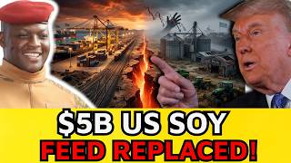 The $5B Protein Shock: Africa’s Insect Army Replaces US Soy Imports