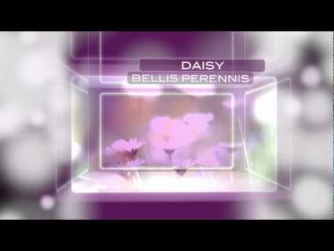 TKY Carousel Generator Demo