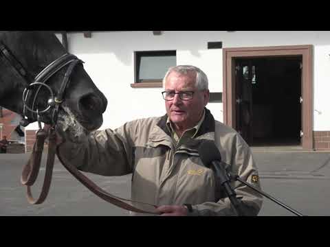 HSR Trakehner Tour - Gestüt Hörstein - 1. Etappe