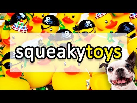 SQUEAKY TOY Sound Effect for Dogs HD