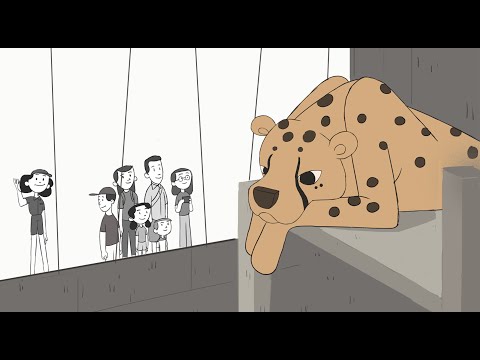 Animated Short Film - We Love Animals (Calarts)