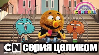 Гамбола | Девушка мечты (серия целиком) | Cartoon Network
