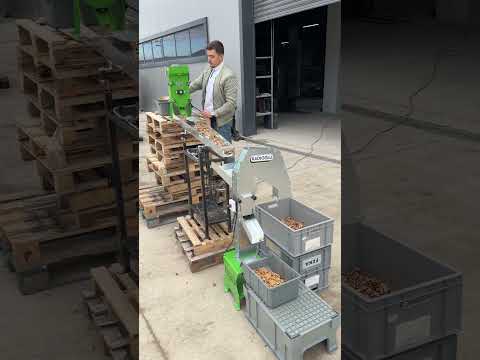 Kadıoğlu C25 PRO Ceviz Kırma Makinesi - Titreşimli Kabuk Ayırma Yolu ve Kabuk Ayırma Fanı Çalışması