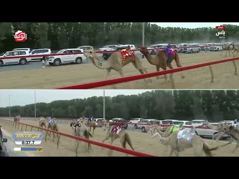 ش 5 كأس إنتاج (البنزين) ناصر عبدالله أحمد المسند 12:04:99 ، ختامي المرموم 2026/03/30 ثنايا