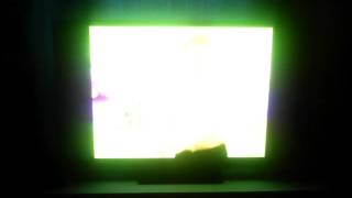 One Little Coyote Song