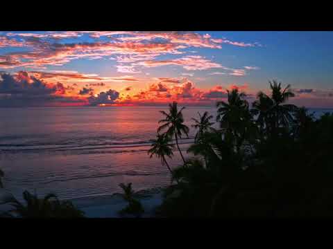 (GET)Tim Gabe - Framer Zero To Hero