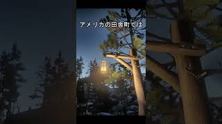 田舎、都会　電灯、ランプ　#ゲーム #レッドデッドリデンプション2 #rdr2