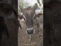 Homepage 1 Video thumbnail