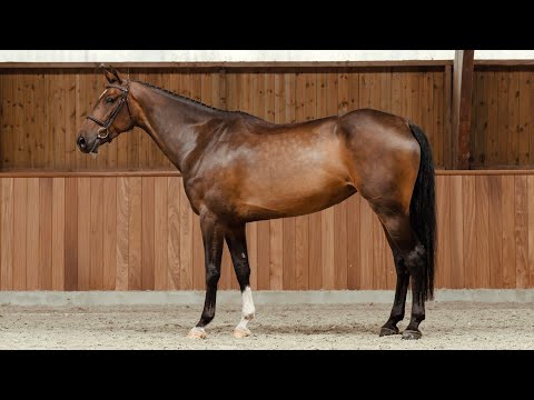 Instant Love M - Standing