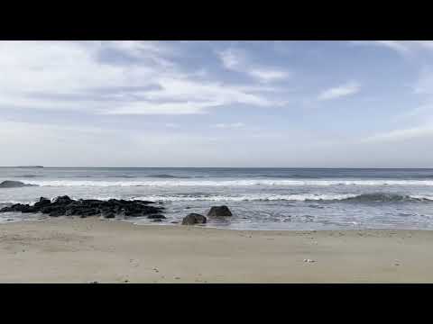 Ocean Waves, Wave Noise, Sea Sounds, Sea Waves to fall Asleep, Meditate, Relax #asmr #waves #fyp