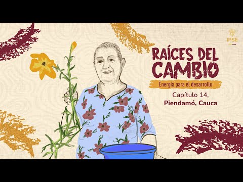 Raíces del Cambio - Capítulo 14: Piendamó, Cauca