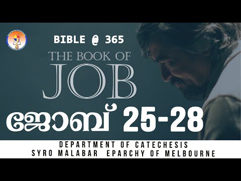 Job 25-28| Audio POC Bible| Bible@365
