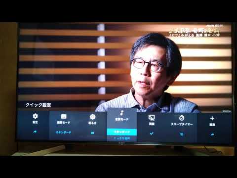 ソニーブラビア　49V型液晶テレビ　BRAVIA 49X9500G