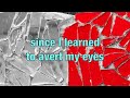Jarvis Cocker - Disney Time (with Lyrics)