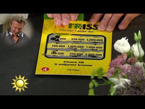 Snickaren Billy skrapar triss - Nyhetsmorgon (TV4)