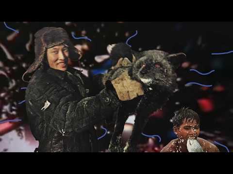 the Roof Dogs - Mr. Taxovich (Official Video)