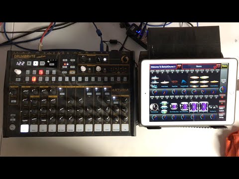 Arturia DRUMBRUTE Creation Plays BarbaXDrums E-Drum Sound Module iPad App - Live Stream