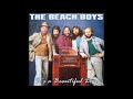 the beach boys   She's Got Rhythm  1978