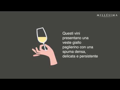 Video tutorial – DOCG VALDOBBIADENE PROSECCO - VENETO