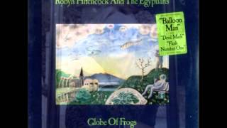 Robyn Hitchcock and the Egyptians (with Glenn Tilbrook) Flesh Number One (Beatle Dennis)