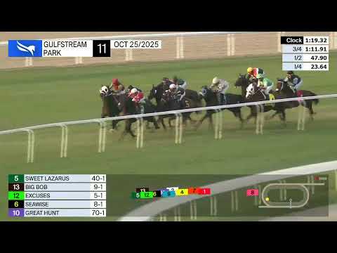 Gulfstream Park October 25, 2025 Race 11