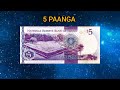 TONGA PAANGA WORLD CURRENCY
