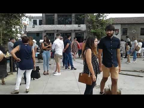 300 anos da Feira do Capão em Freamunde 4