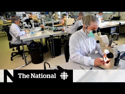 Why new research says stent procedures could be unnecessary